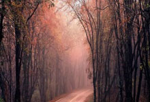 弗里克确认:拉菲尼亚和阿劳霍不会参加对奥萨苏纳的补赛.