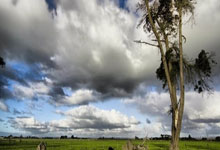 亿万28官网:冯潇霆:我们这代人,离世界杯就差一点.